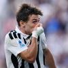 Immagine news 2