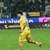Immagine news 1