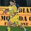 Immagine news 1