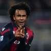 Immagine news 10