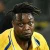 Frosinone, report medico: problemi al bicipite femorale sia per Kone che per Monterisi...
