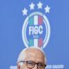 Immagine news 3