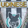 Udinese, l'ex Fanesi: "I Pozzo sanno il fatto loro, del potenziale acquirente si...