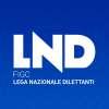 Immagine news 53