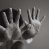 Immagine news 23