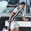 Immagine news 1