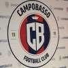 Campobasso, brusca frenata per La Monica al Foggia. Spuntano due big di Serie D