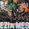 Immagine news 1
