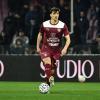 Salernitana, sirene di mercato dal Girone A: Arena nel mirino di Trento e Treviso...