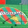 Movimenti in casa Ternana: primi contatti con un advisor. Possibile cordata per salvare...