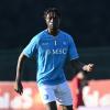 Obaretin e Fini: quando Genoa-Napoli non è soltanto la prima giornata di campionato...