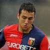 Jankovic: "Hellas-Genoa, tiferò per il Grifone. Gudmundsson mi ricorda un po' Stankovic"...