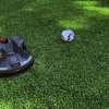 Euro2024, i Robot Tagliaerba Husqvarna e la  "Victory Dance"