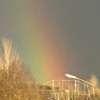 Immagine news 86