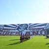 Salernitana, tanti appelli ma Arechi da minimo stagionale. Vigilia col dubbio Dia...