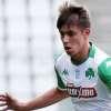 Panathinaikos, Vagiannidis: "Fiorentina? Era favorita, questa vittoria è un messaggio"...