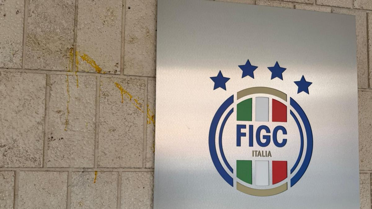 Lunedì le elezioni FIGC, cosa vogliono gli italiani? Al primo posto la sicurezza negli stadi