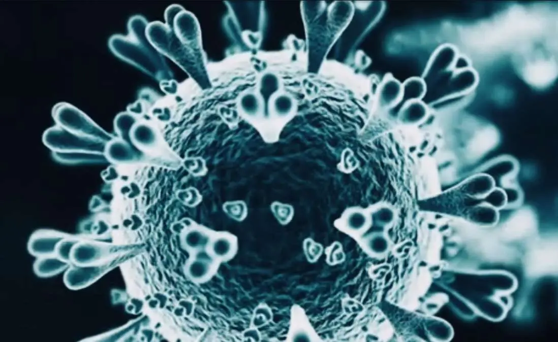 Coronavirus, come leggere il bollettino della Protezione Civile e i dati sul contagio