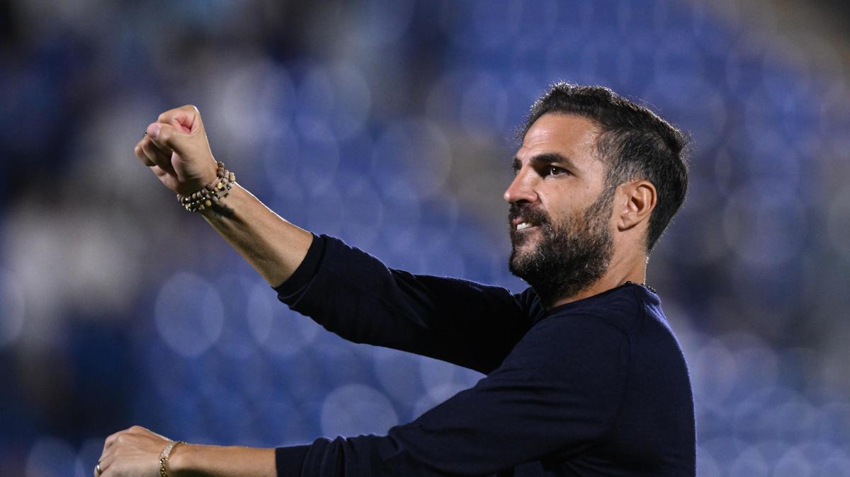 Immagine box news Serie A