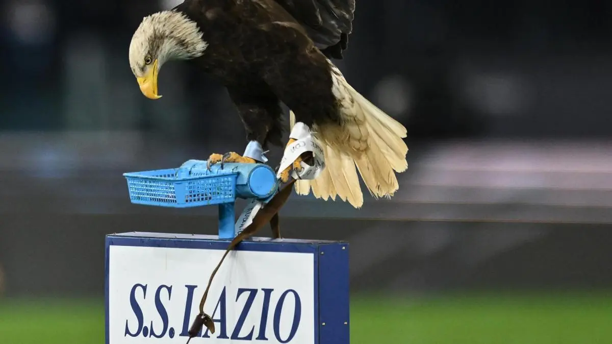 Lazio, Dominguez resta un obiettivo: distanza con la Dinamo Zagabria, c'è anche il nodo Barcellona