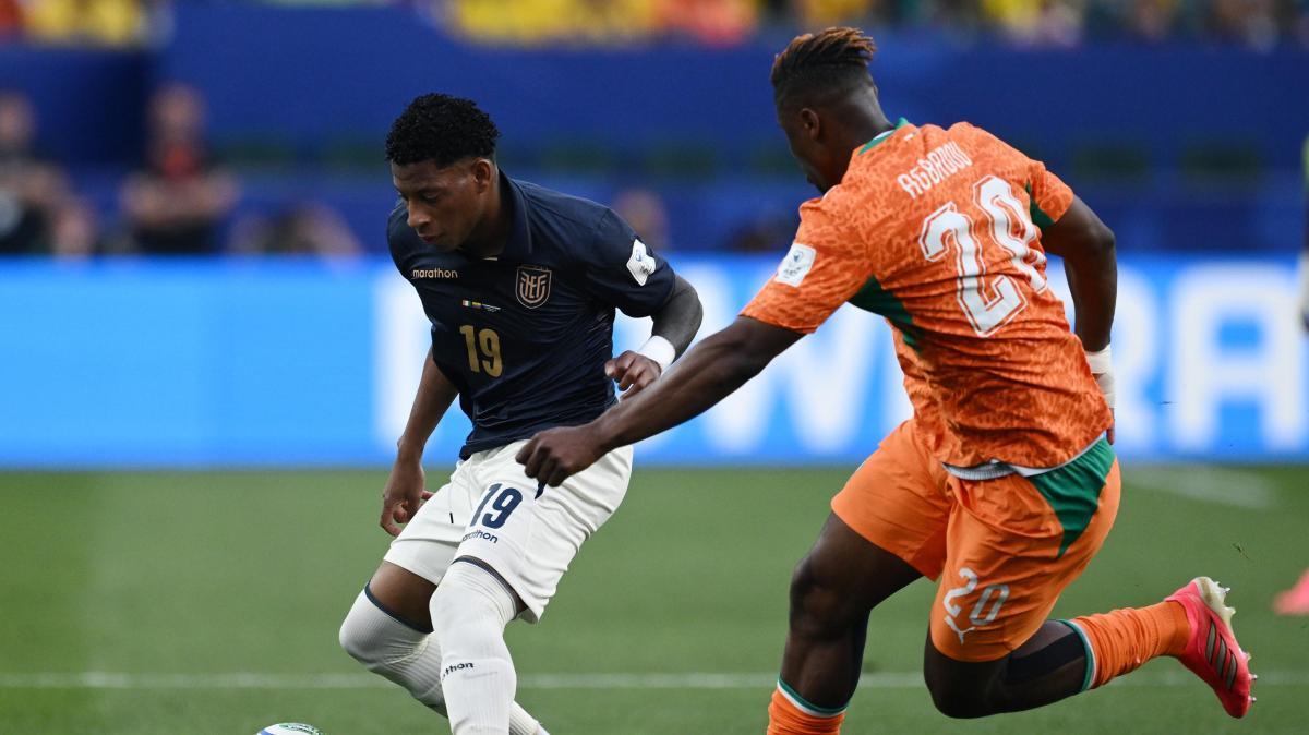 Newcastle, ecco l'erede di Gordon. Quasi 50 milioni all'Hoffenheim per l'ivoriano Toure